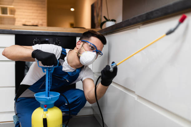 Best Pest Control for Restaurants  in Fruitland, IA
