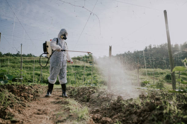 Best Pest Prevention Services  in Fruitland, IA