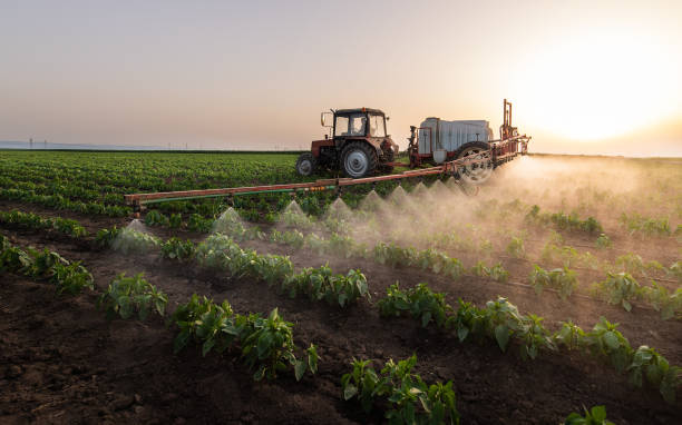 Best Affordable Pest Control Services  in Fruitland, IA