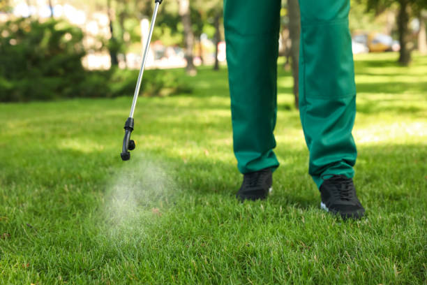 Trusted Fruitland, IA Pest Control Experts