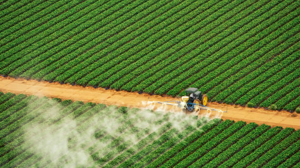  Fruitland, IA Pest Control Pros