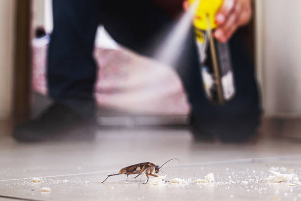 Best Commercial Pest Control Services  in Fruitland, IA