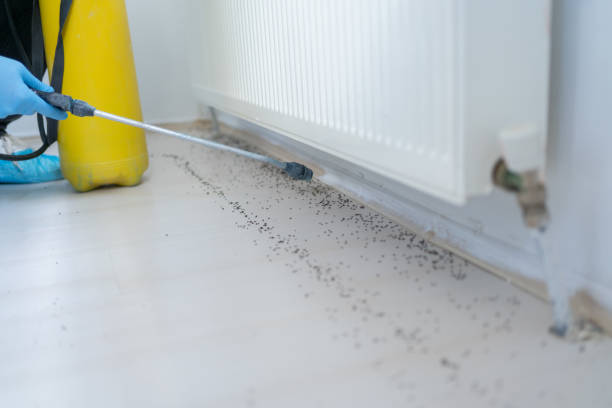 Best Best Pest Control Companies  in Fruitland, IA